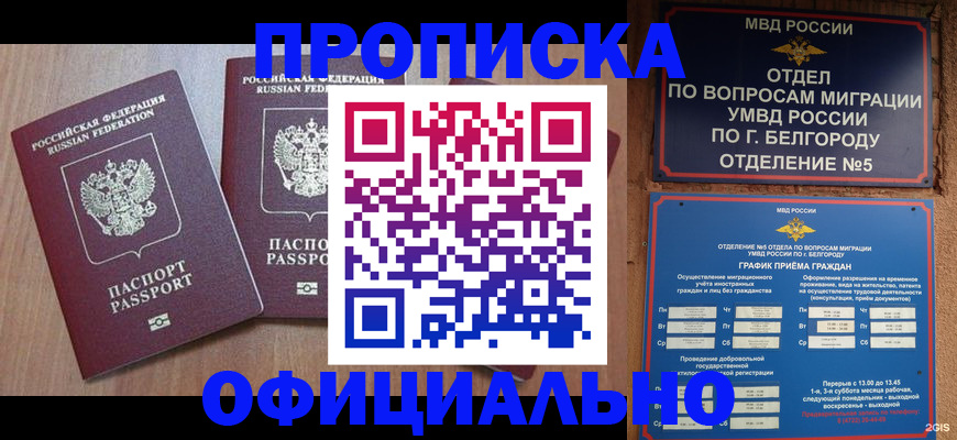 найти адрес прописки в Губкинском